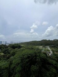 Normanton Park (D5), Apartment #470457531